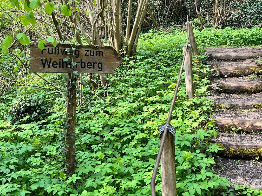 22-04-25 10-29-46 0609